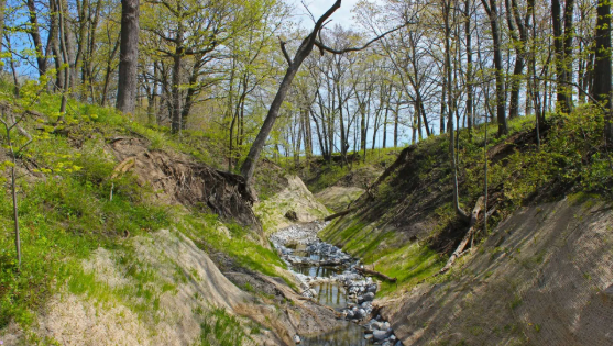 Stream Restoration 1