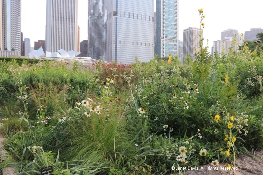 Ecological Restoration 2